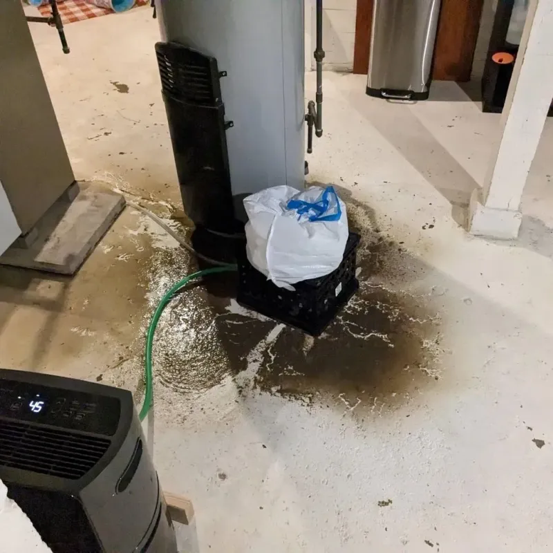 Sewage Backup Cleanup Service in Hardwick, GA